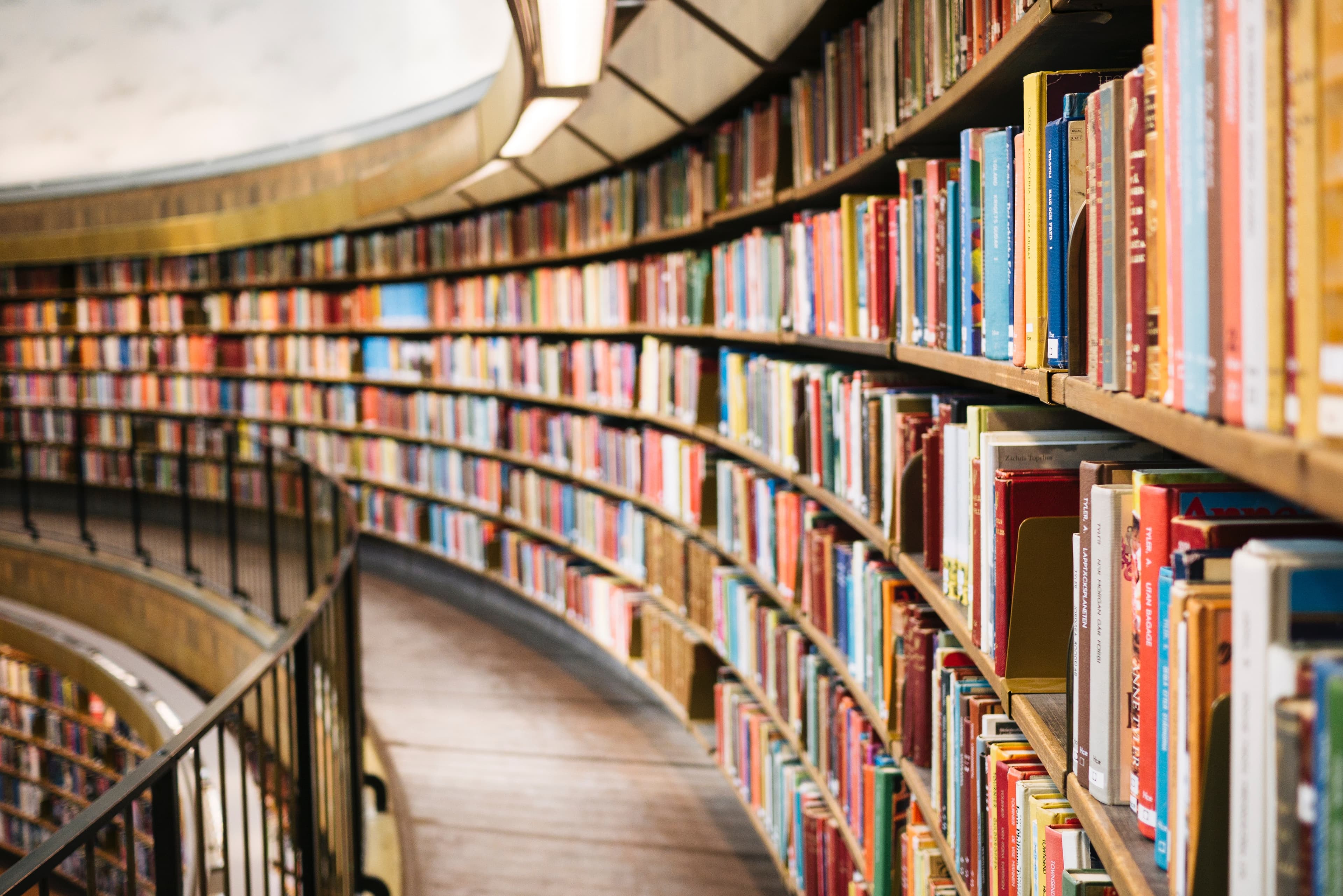 Curved library bookshelves representing final college application review